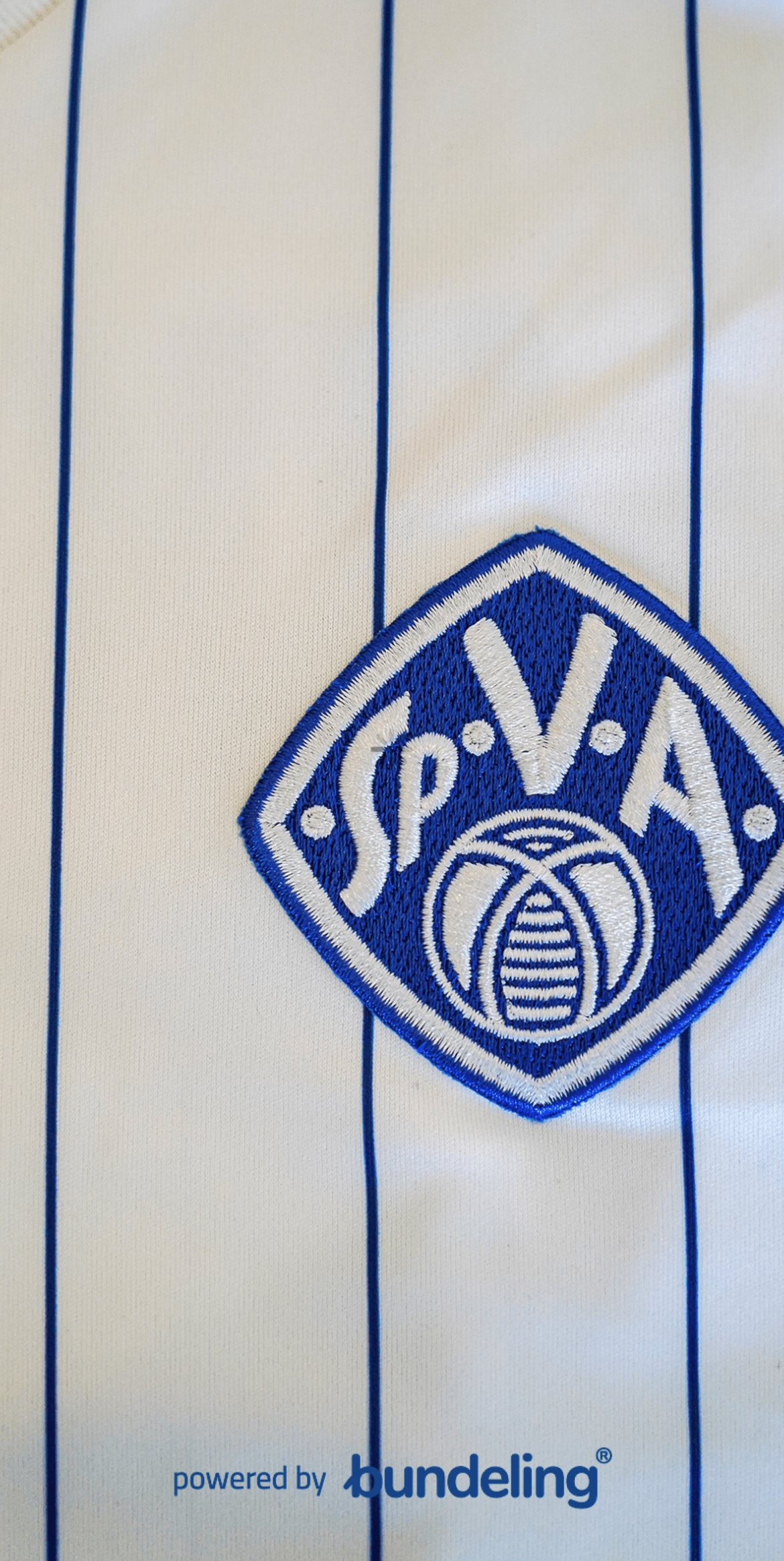 Viktoria Aschaffenburg präsentiert SponsorenApp Viktoria Aschaffenburg